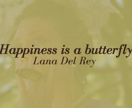 lana del rey happiness is a butterfly lyrics